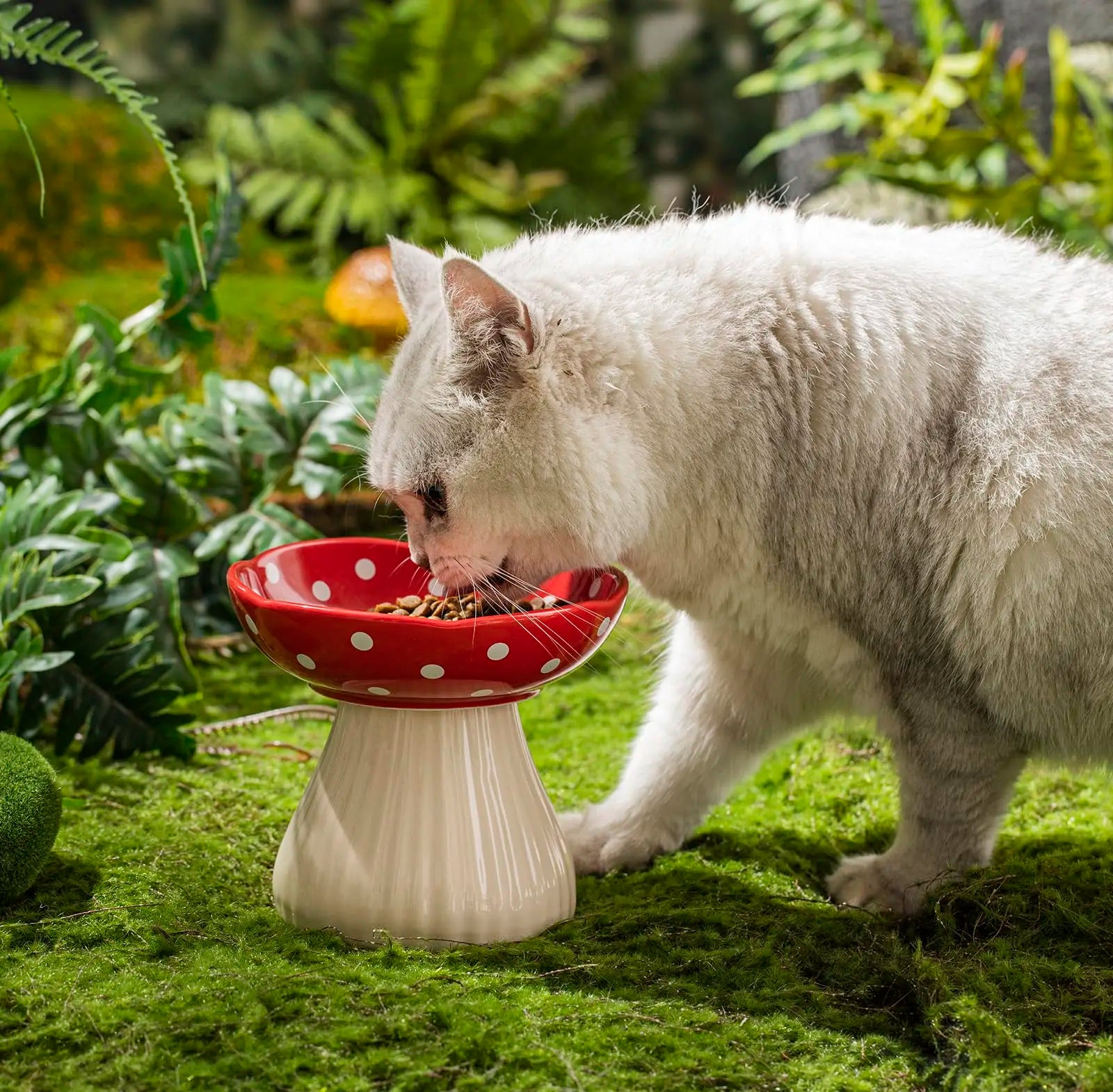 Mushroom Raised Cat Bowl, Cute Polka Dot Safety Ceramic Elevated Cat Bowl. Food Water Bowls for Cat, Small Dog. (Red)