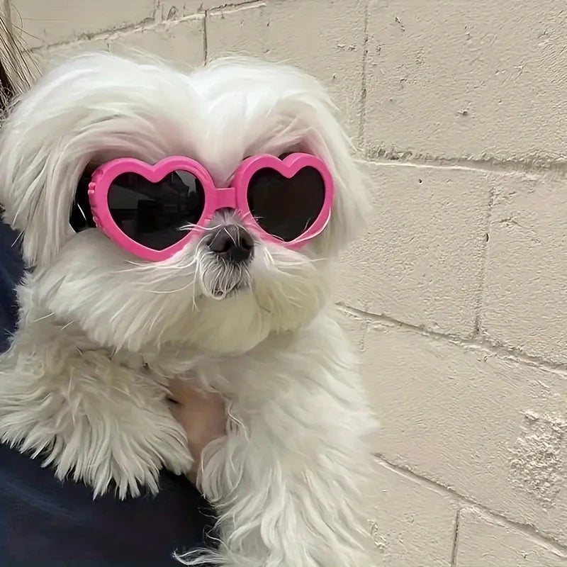 1pc Pet Glasses, Dog Supplies, Goggles, Sun Protection, UV Protection, Dog Sunglasses, Cat Sunglasses