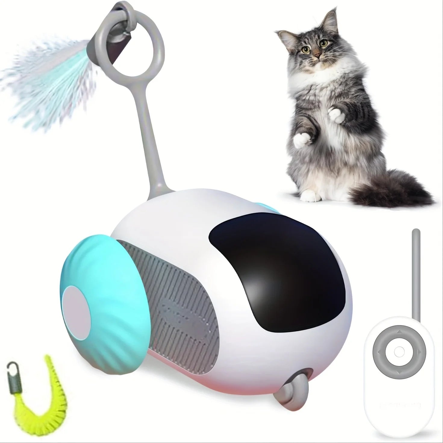 Cat Toy Car